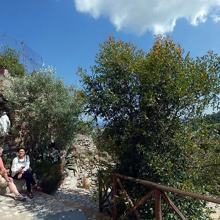 Stillachiara